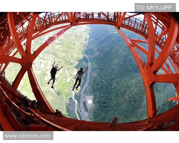 杨伟专访：探寻极限运动背后的激情与挑战之旅
